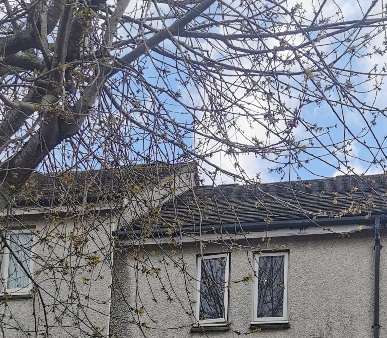 Photo 6 of 56 Harwell Street, Plymouth